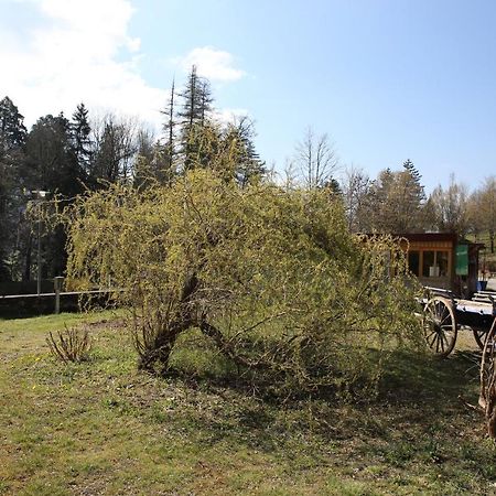 Villa Le Veymont Saint-Martin-en-Vercors Esterno foto